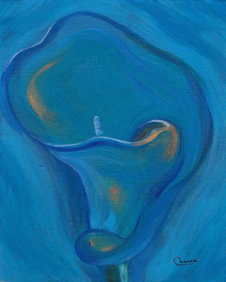 Lys Calla Bleu